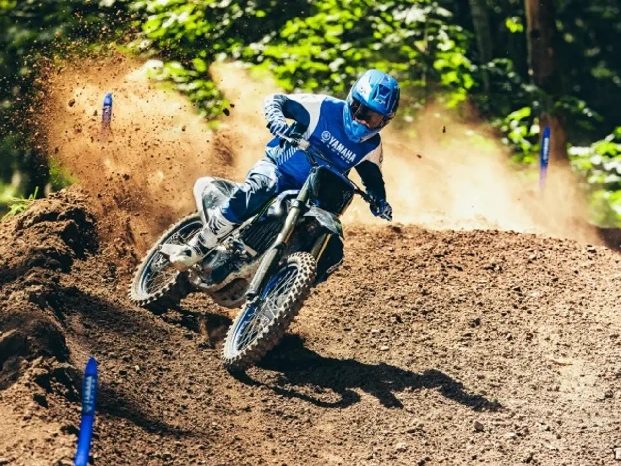 Billede 7 - Yamaha YZ 250 F Monster Energy Yamaha Racing Edition