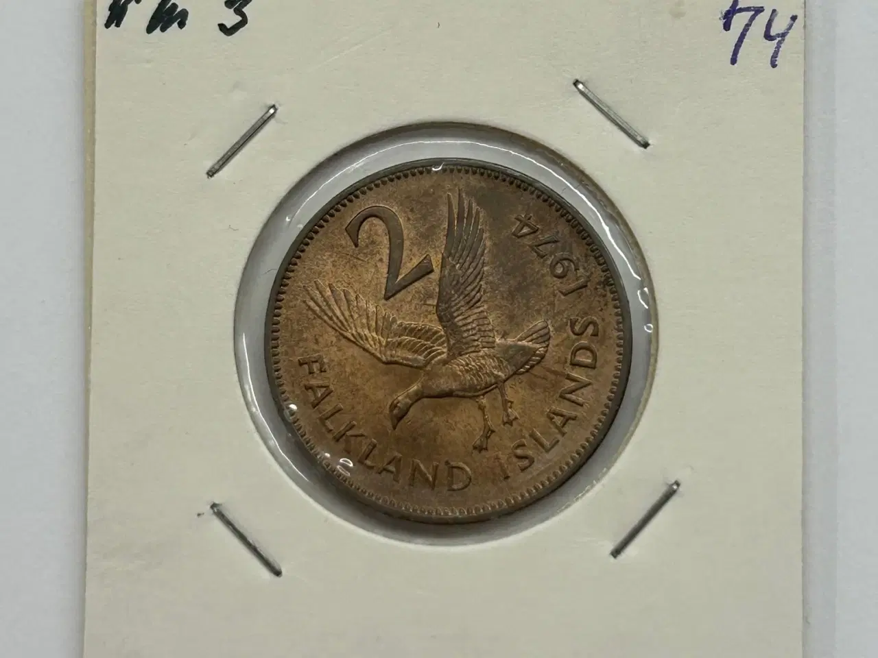Billede 1 - 2 Pence Falkland Islands 1974
