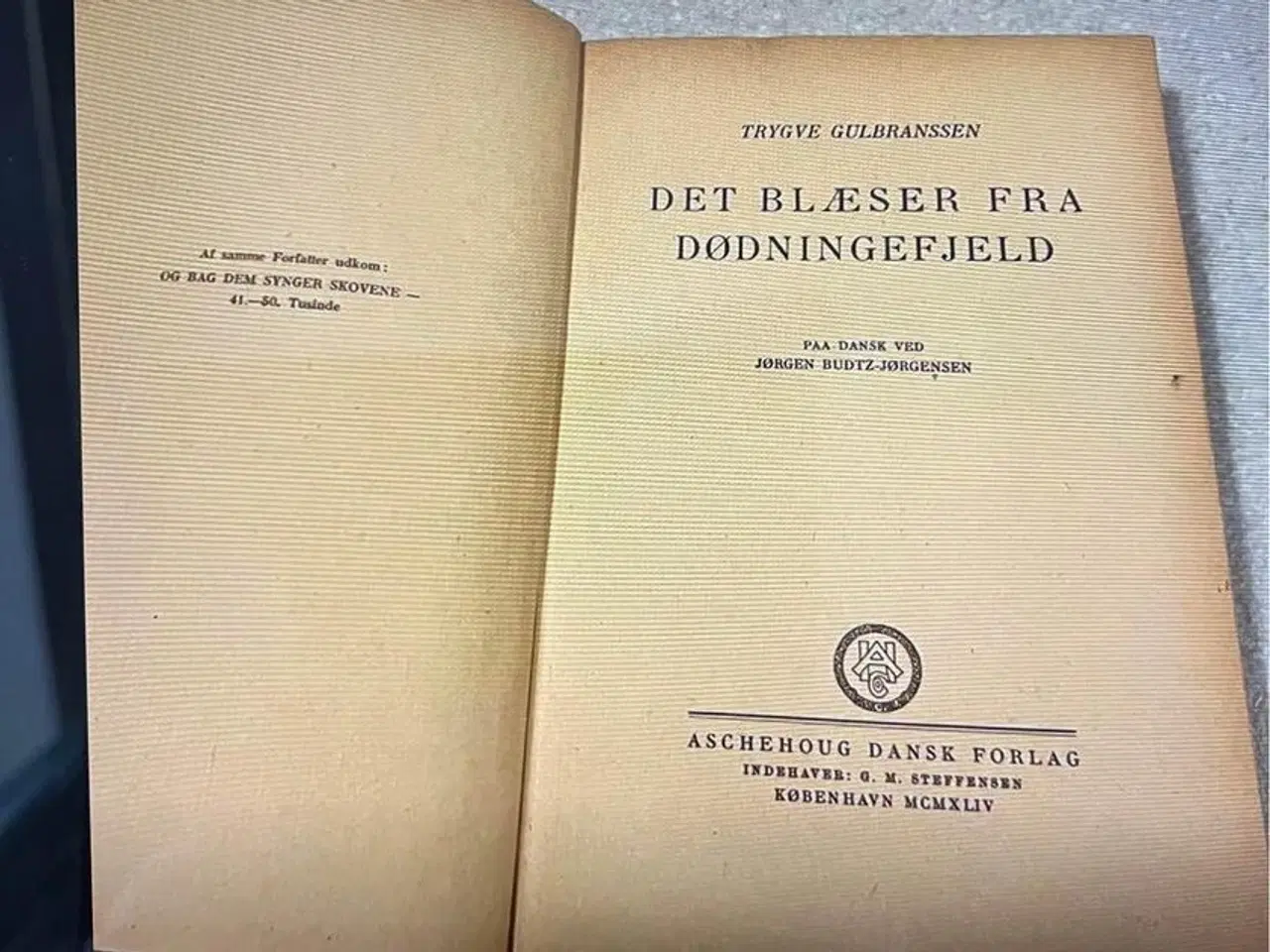 Billede 3 - Gammel antikvarisk bog roman skrevet af den norske