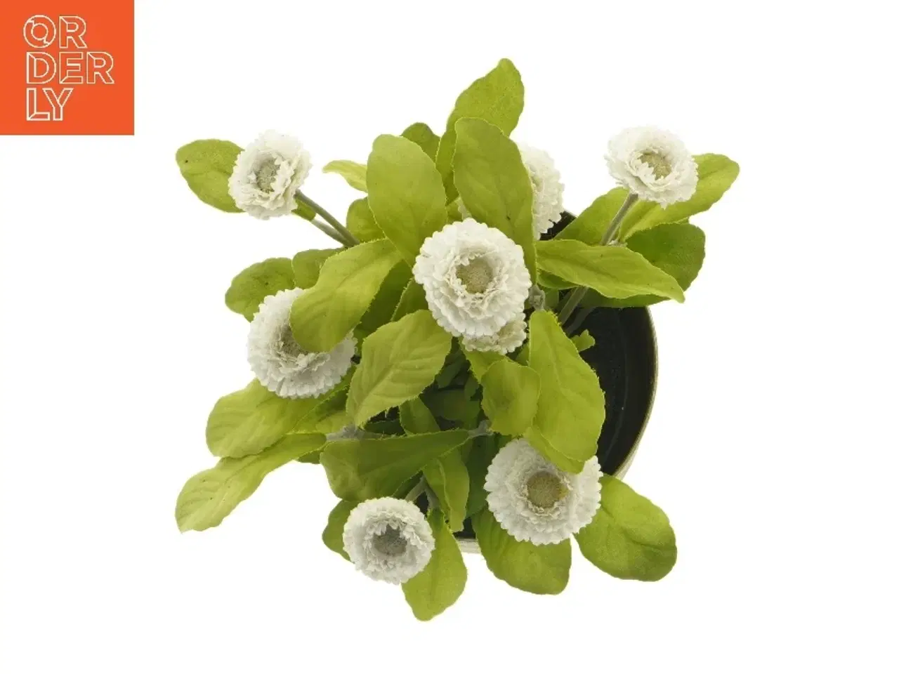 Billede 3 - Kunstig plante med potte fra IKEA (str. 12 cm)