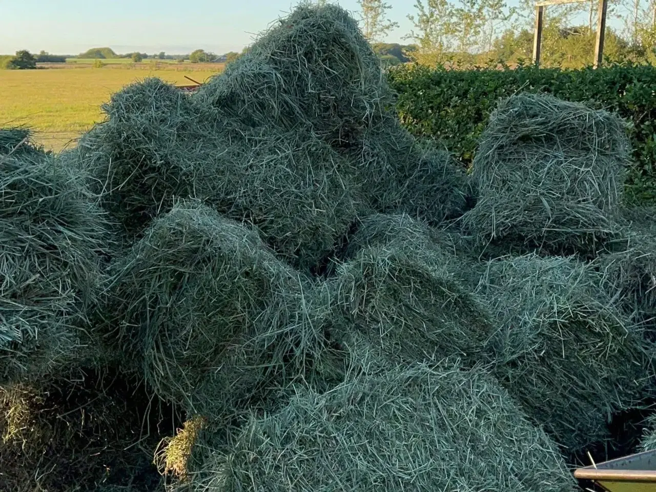 Billede 1 - Hø i Morten Koch baller 