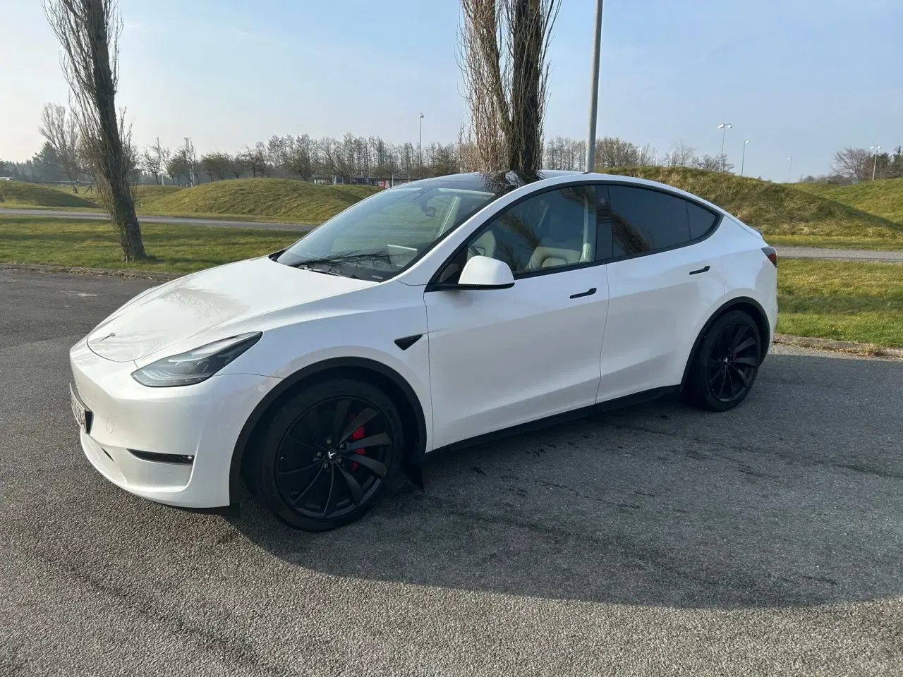 Billede 4 - Tesla Model Y  Performance AWD