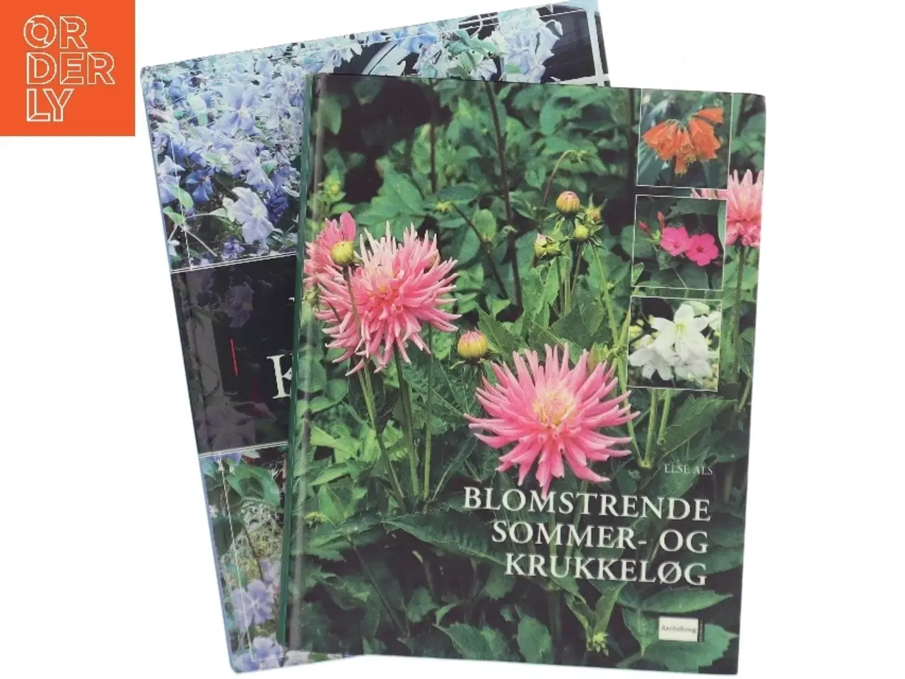 Billede 1 - 2 havebøger: Blomstrende sommer og krukkeløg og Politikens bog om havens krukker af Karina Demuth (Bog)