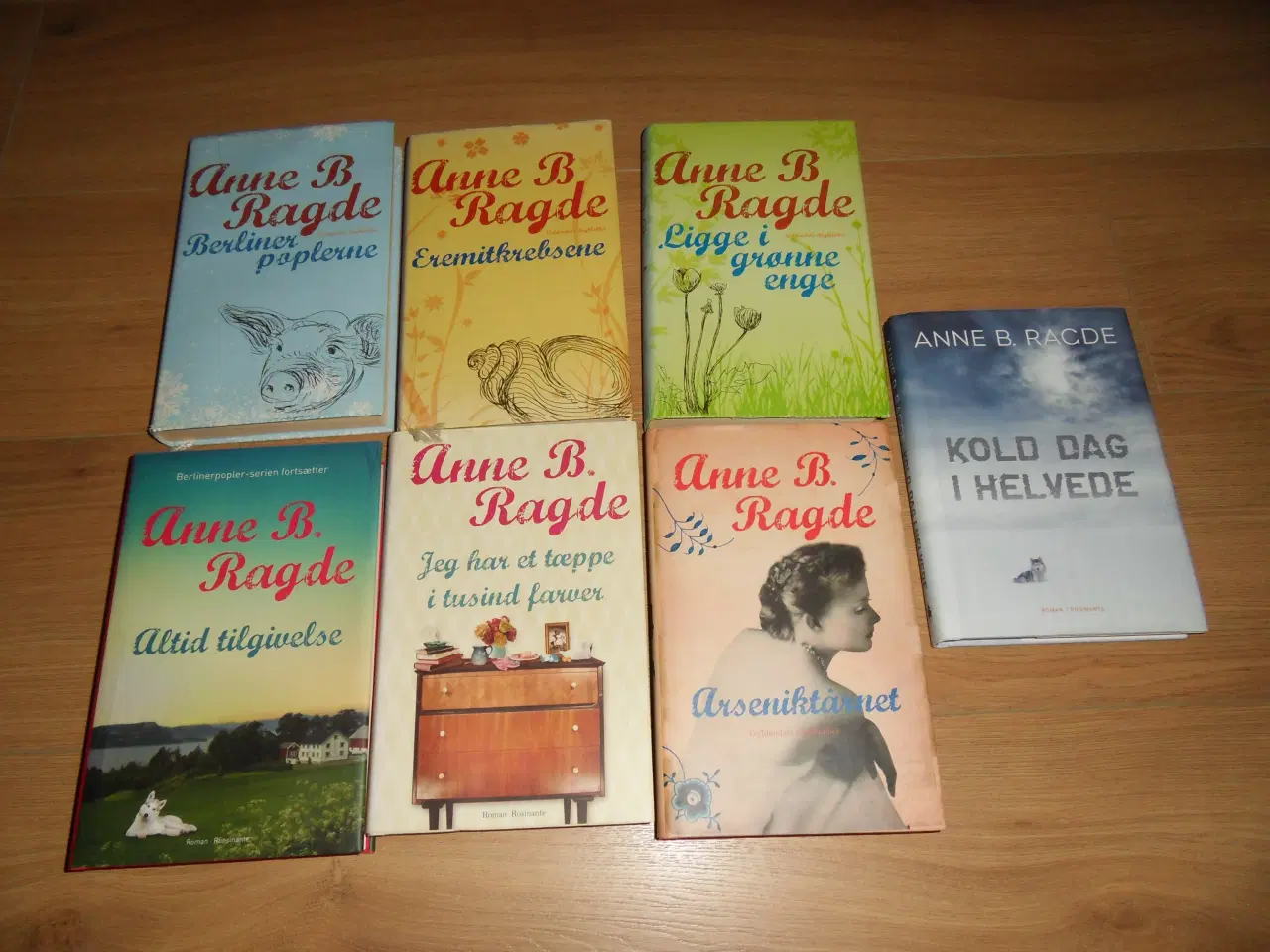 Billede 1 - ANNE RAGDE. Berlinerpoplerne. Kold dag i helvede