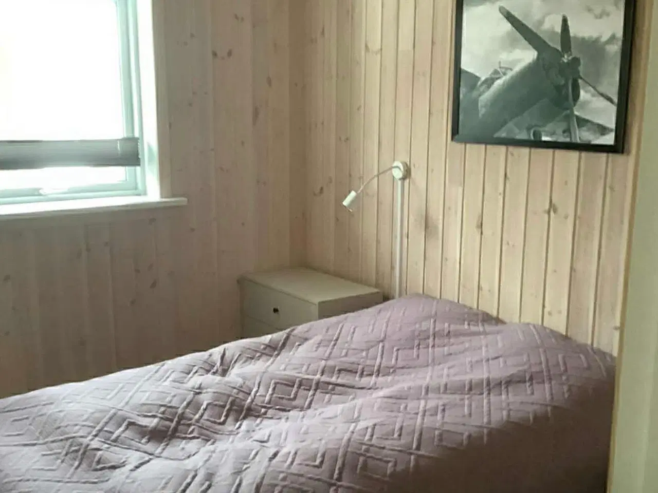 Billede 11 - Sommerhus udlejes …..hund tilladt