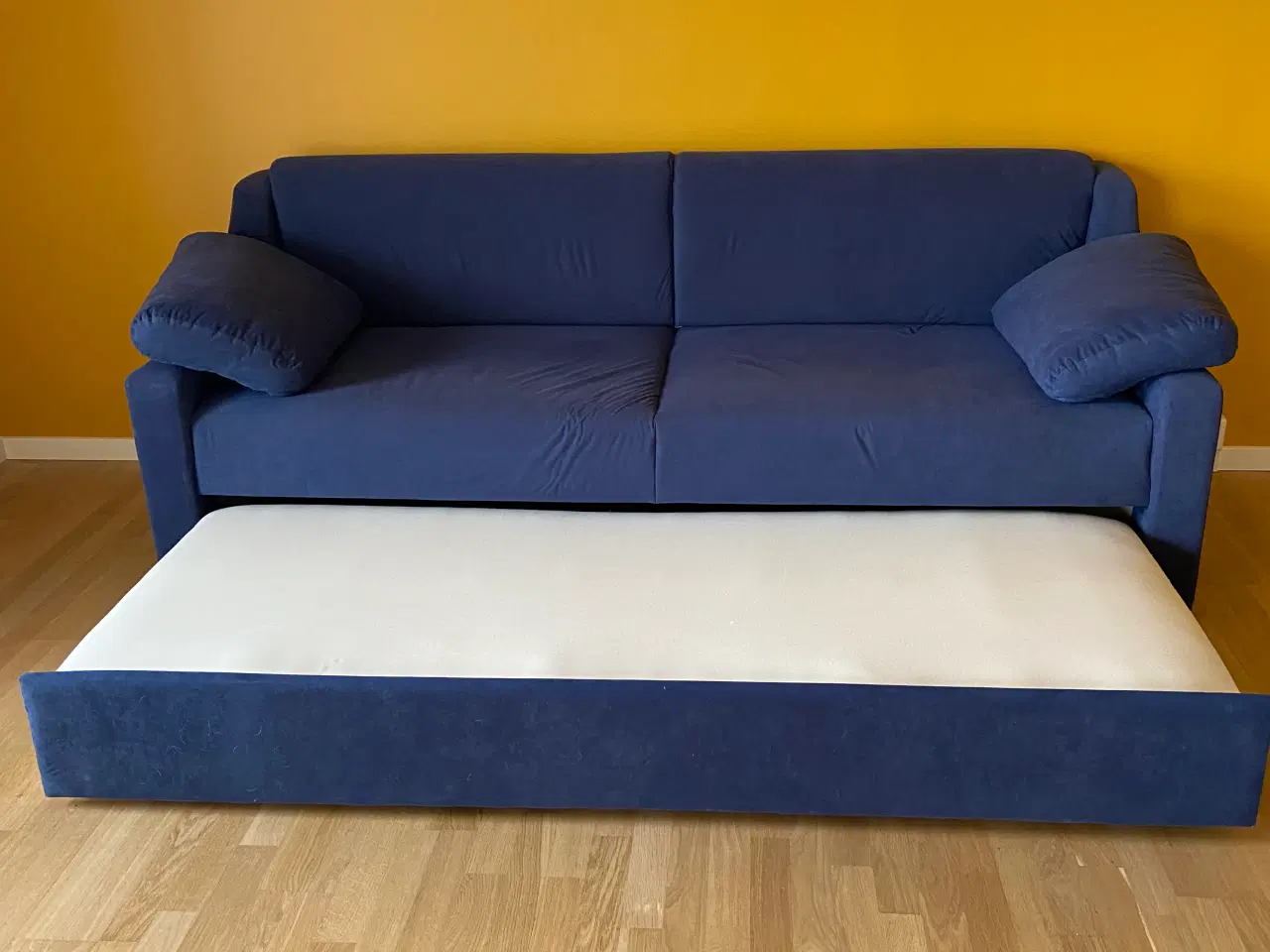 Billede 1 - Sovesofa af blå fløjsagtig stof