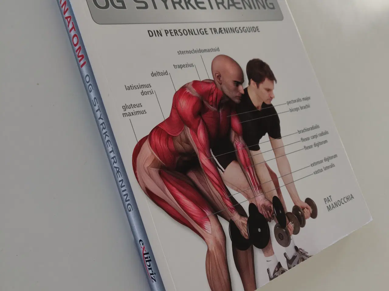 Billede 2 - Bog: Anatomi og styrketræning