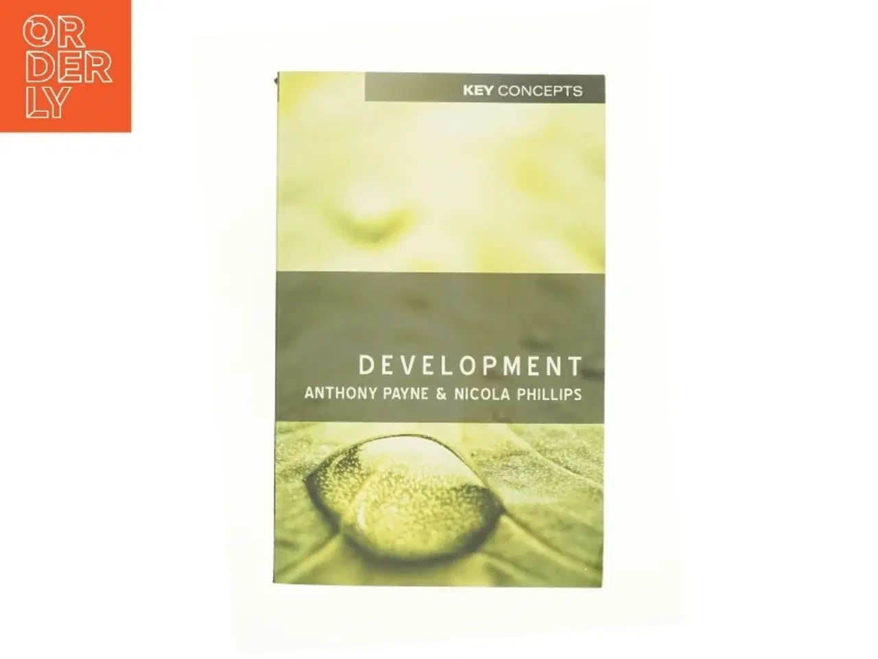 Billede 1 - Development af Payne, Anthony / Phillips, Nicola (Bog)