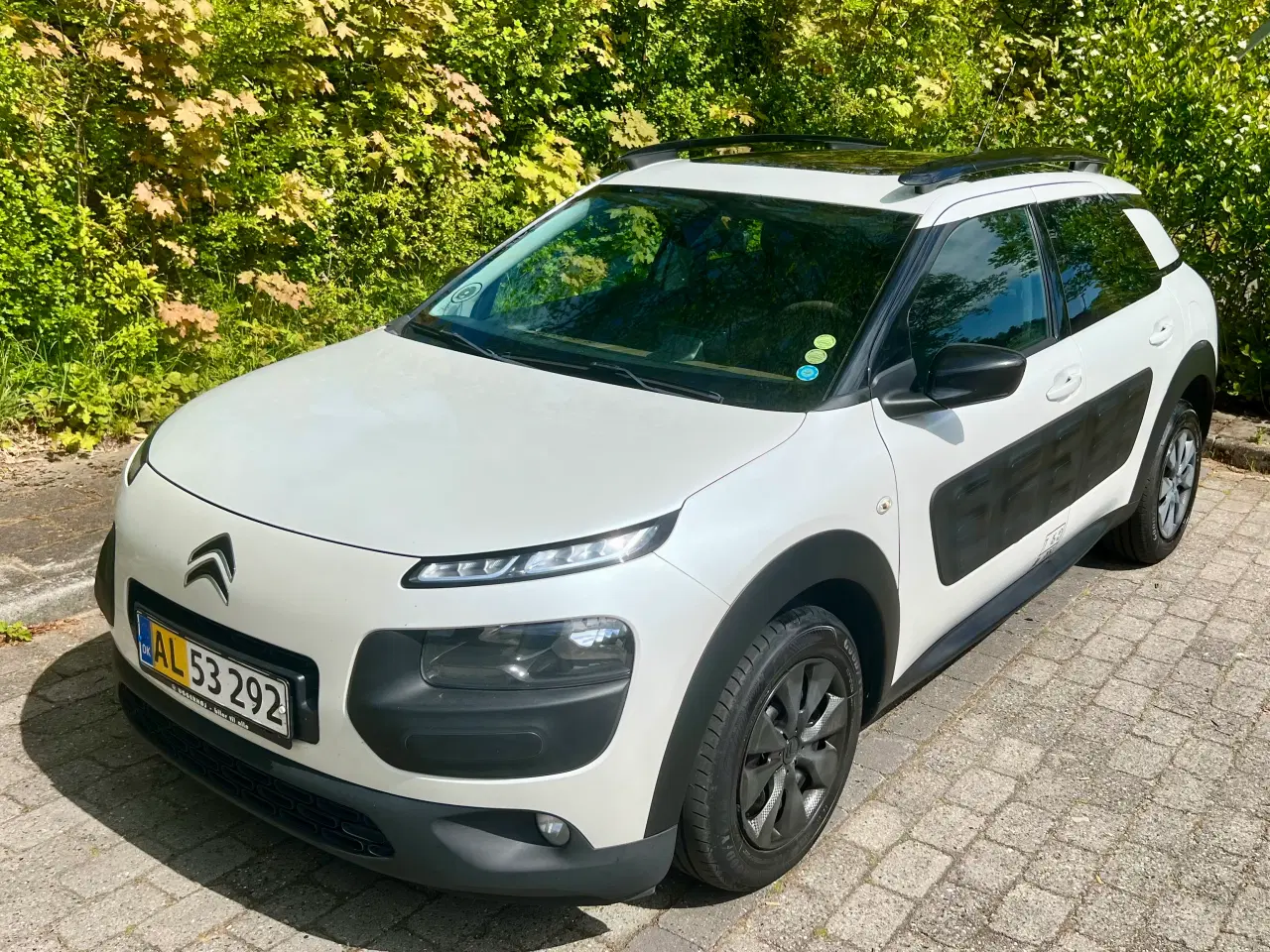 Billede 3 - Citroen C4 Cactus m/ Panoramatag 