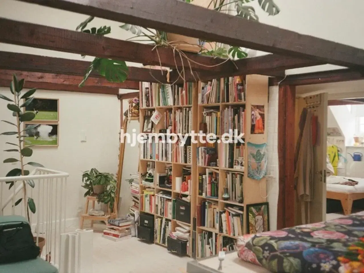 Billede 1 - Hjembytte - NørreAllé