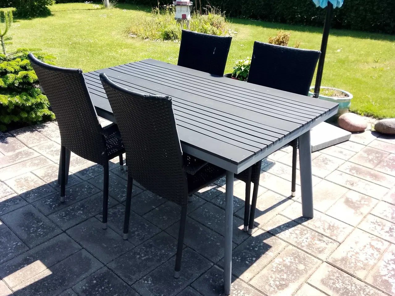 Billede 11 - Kolonihave Fredericia 
