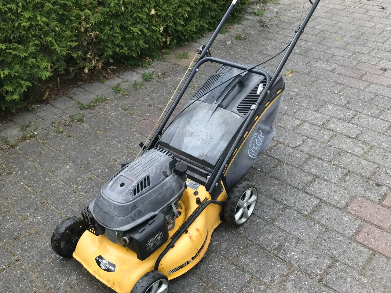 Billede 2 - Texas RS 460 Combi plæneklipper 