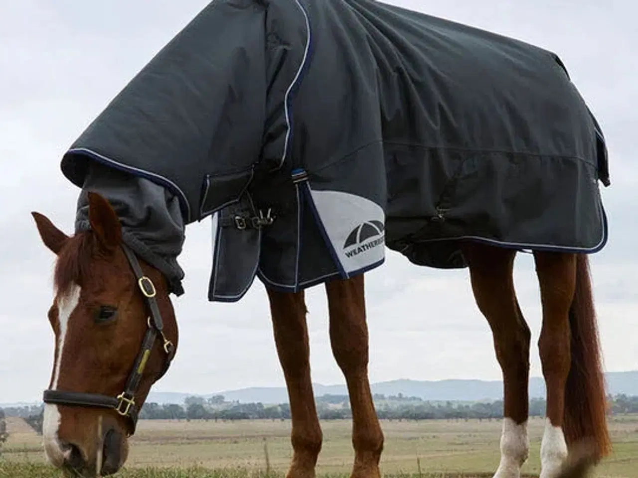 Billede 1 - Dækken overtræk