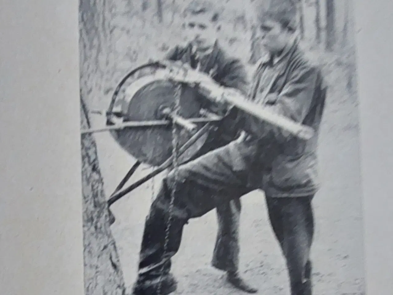 Billede 3 - Tysk bog "Jugend hinter Pflug und Werkbank"