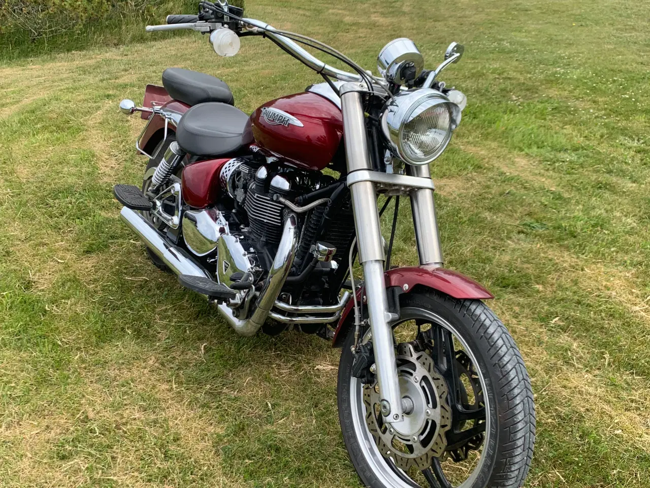 Billede 4 - Triumph Speedmaster 900