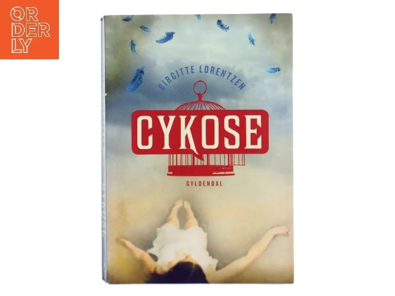 Billede 1 - Cykose af Birgitte Lorentzen (Bog)