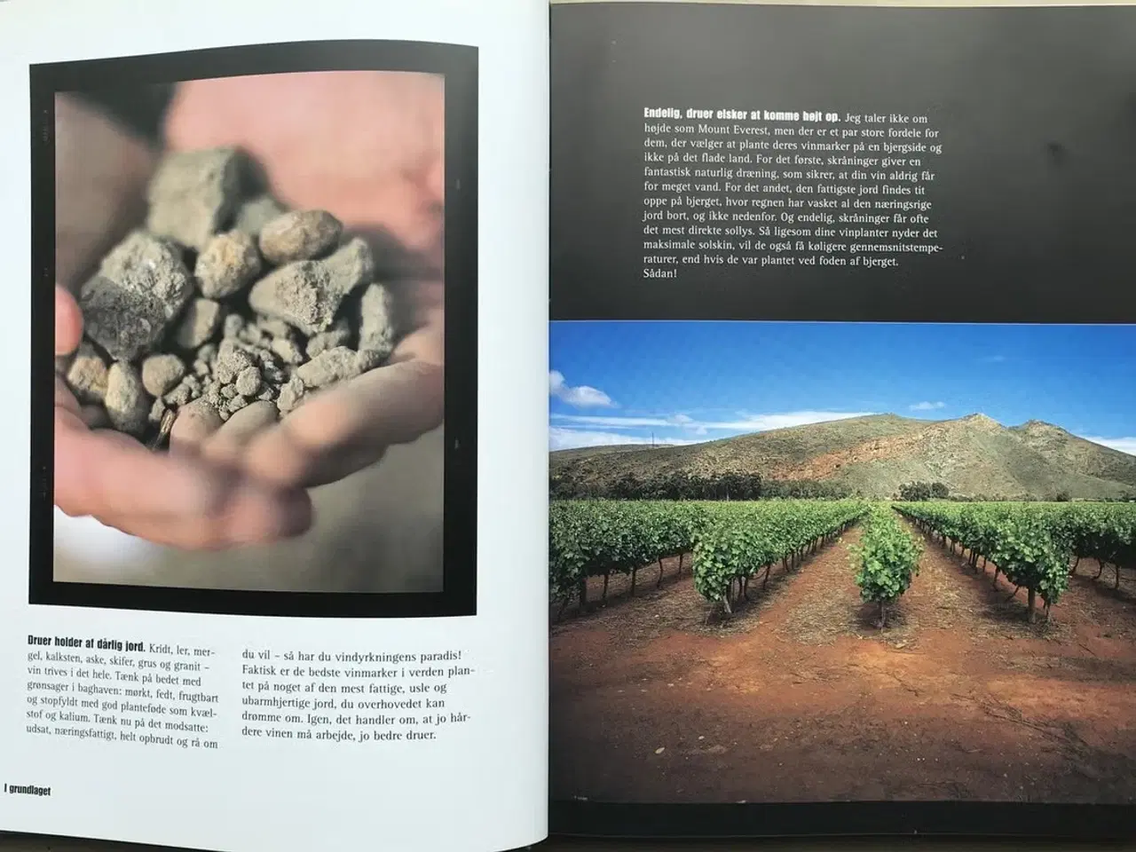 Billede 3 - Matt Skinner: Det er bar vin