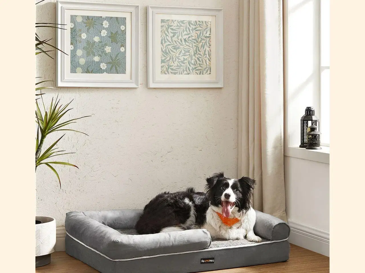 Billede 2 - Ortopædisk hundeseng med kanter – vaskbar, skridsikker, grå 91×71 cm