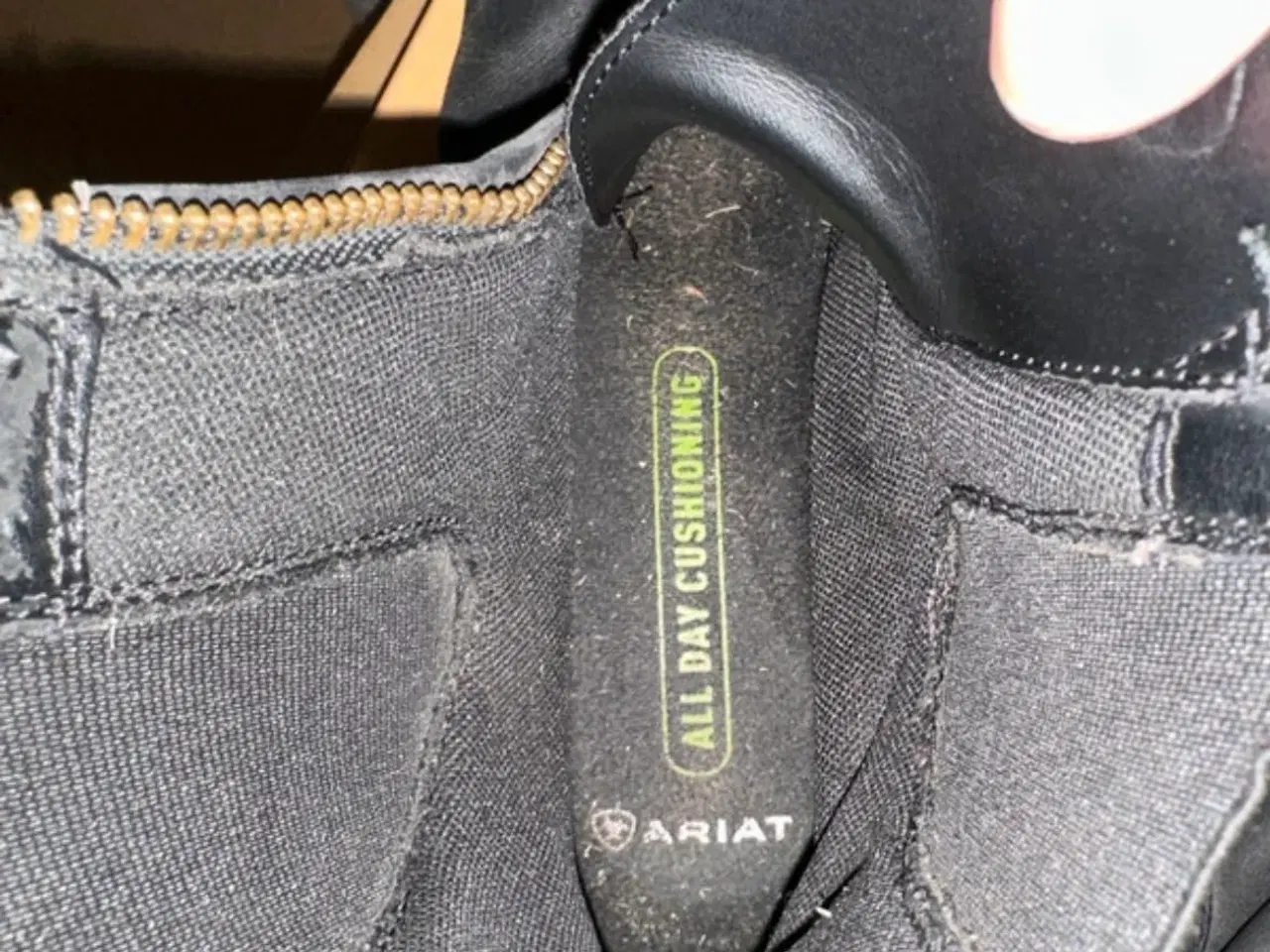 Billede 2 - Korte Ariat Heritage IV Zip Paddock str 41