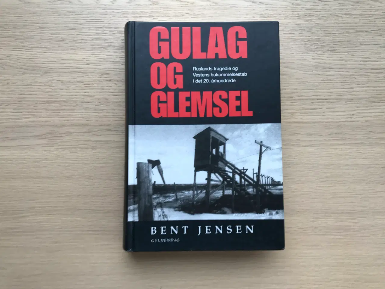 Billede 1 - GULAG og GLEMSEL