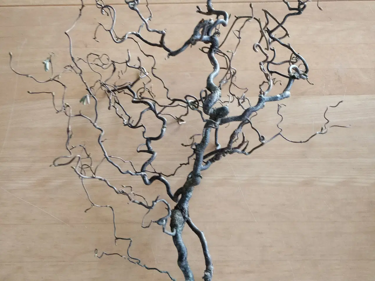 Billede 1 - Troldegrene