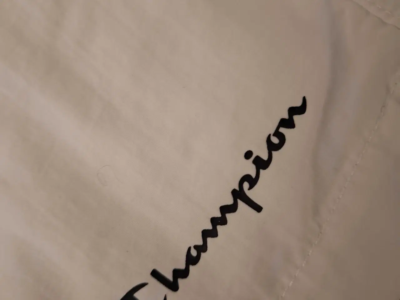 Billede 3 - Champion badeshort. M.