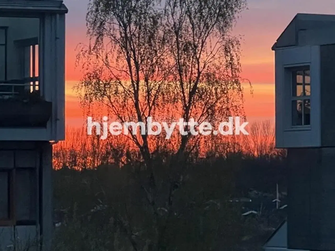 Billede 8 - Hjembytte - Kisumparken