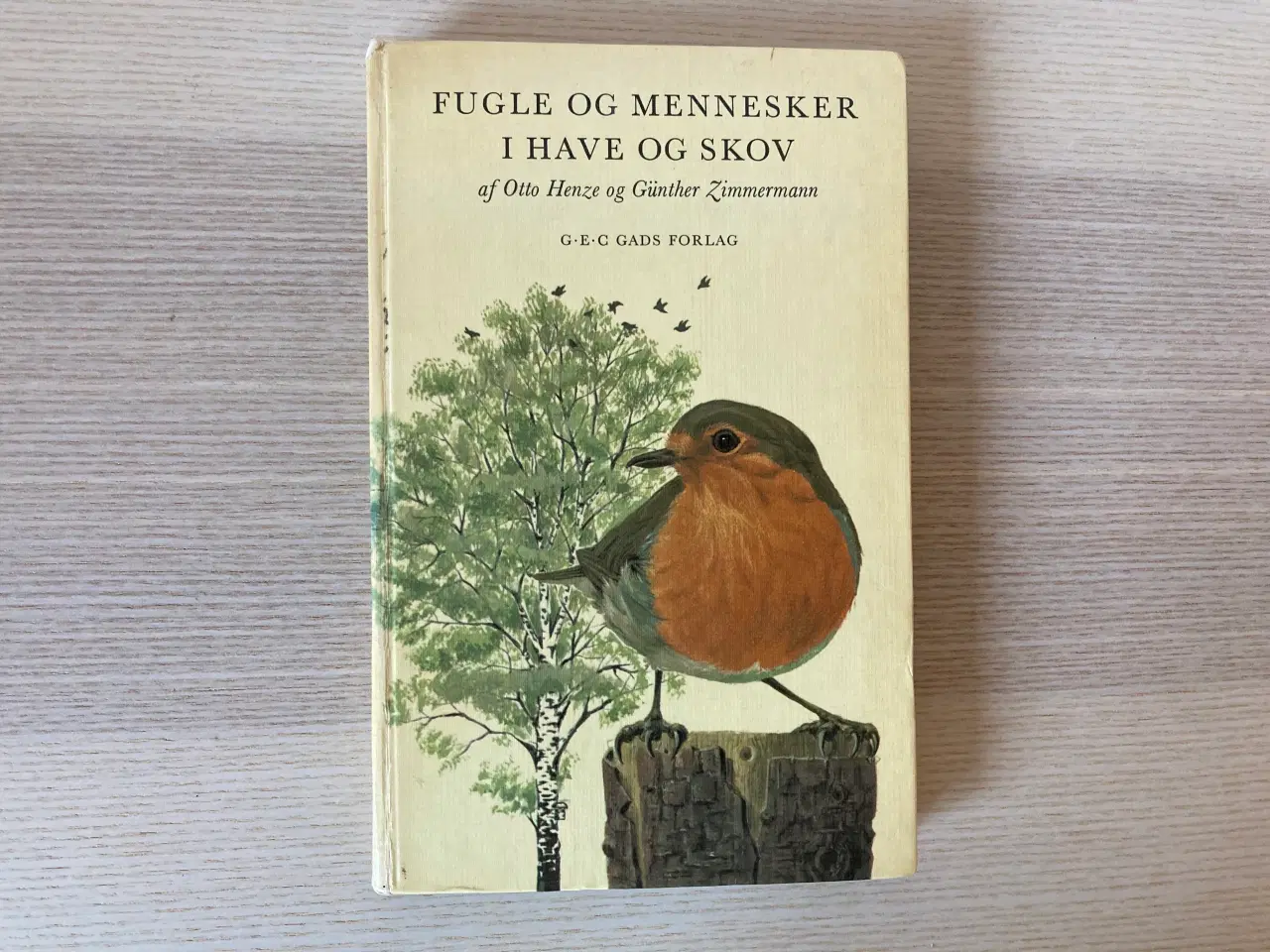 Billede 1 - Fugle og mennesker i have og skov 