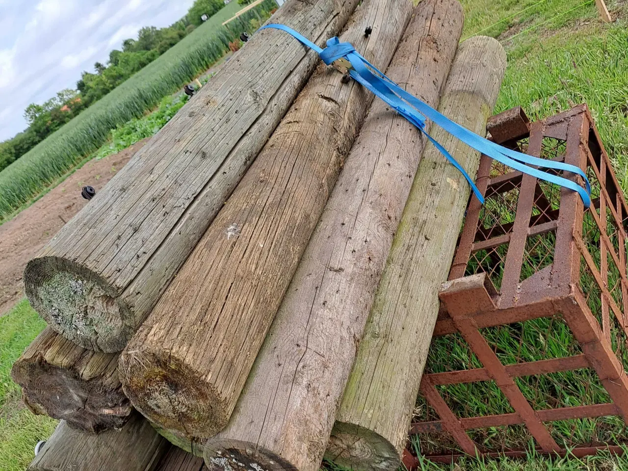 Billede 4 - Hegnspæle  sælges  byd byd ring  på 21 53 47 46 