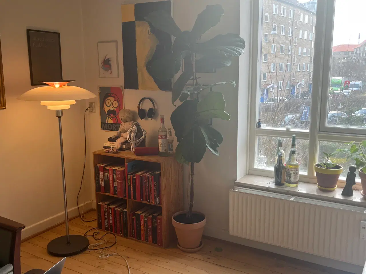 Billede 4 - 2 m højt violintræ 