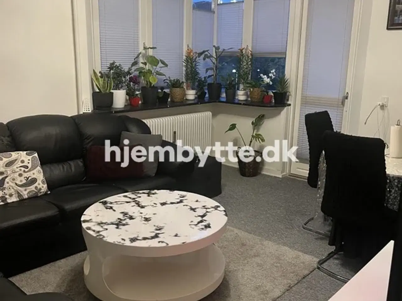 Billede 8 - Hjembytte - CamillaNielsensVej