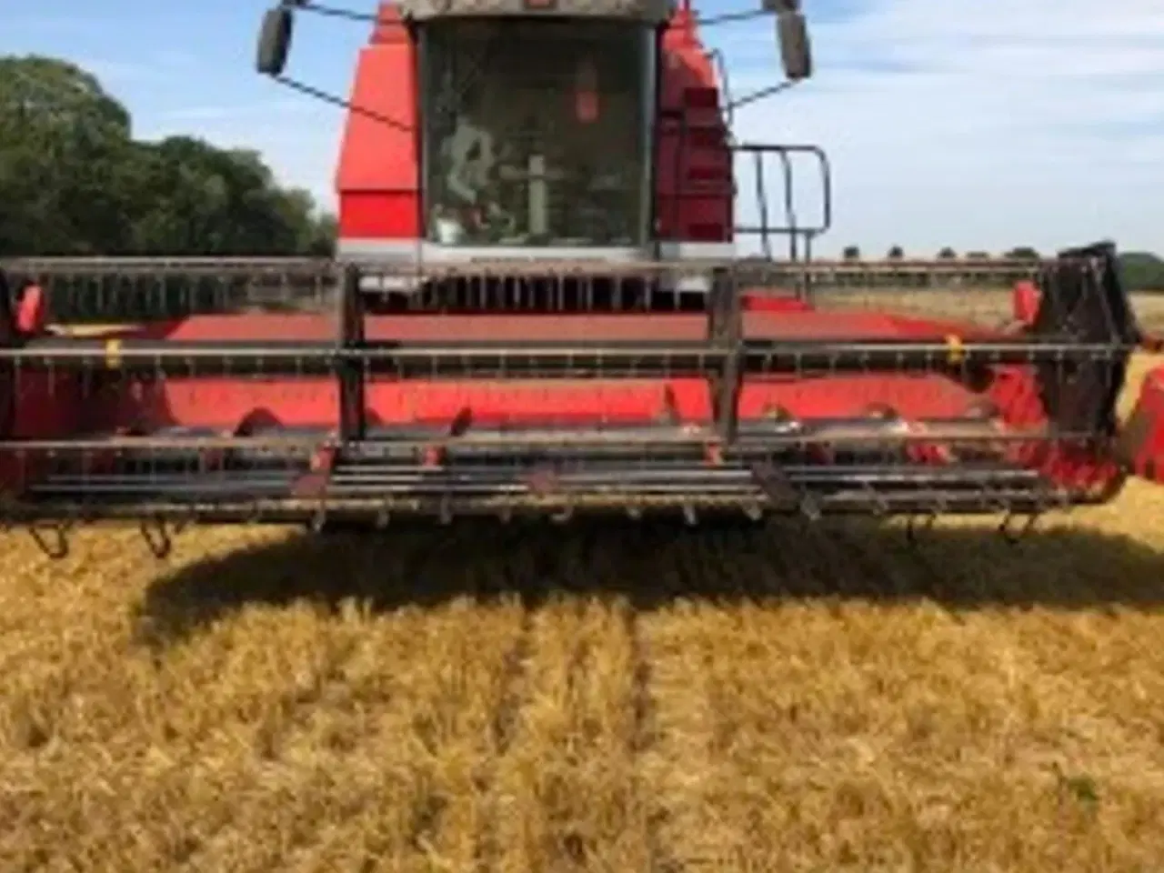 Billede 2 - Massey Ferguson 36 DV2
