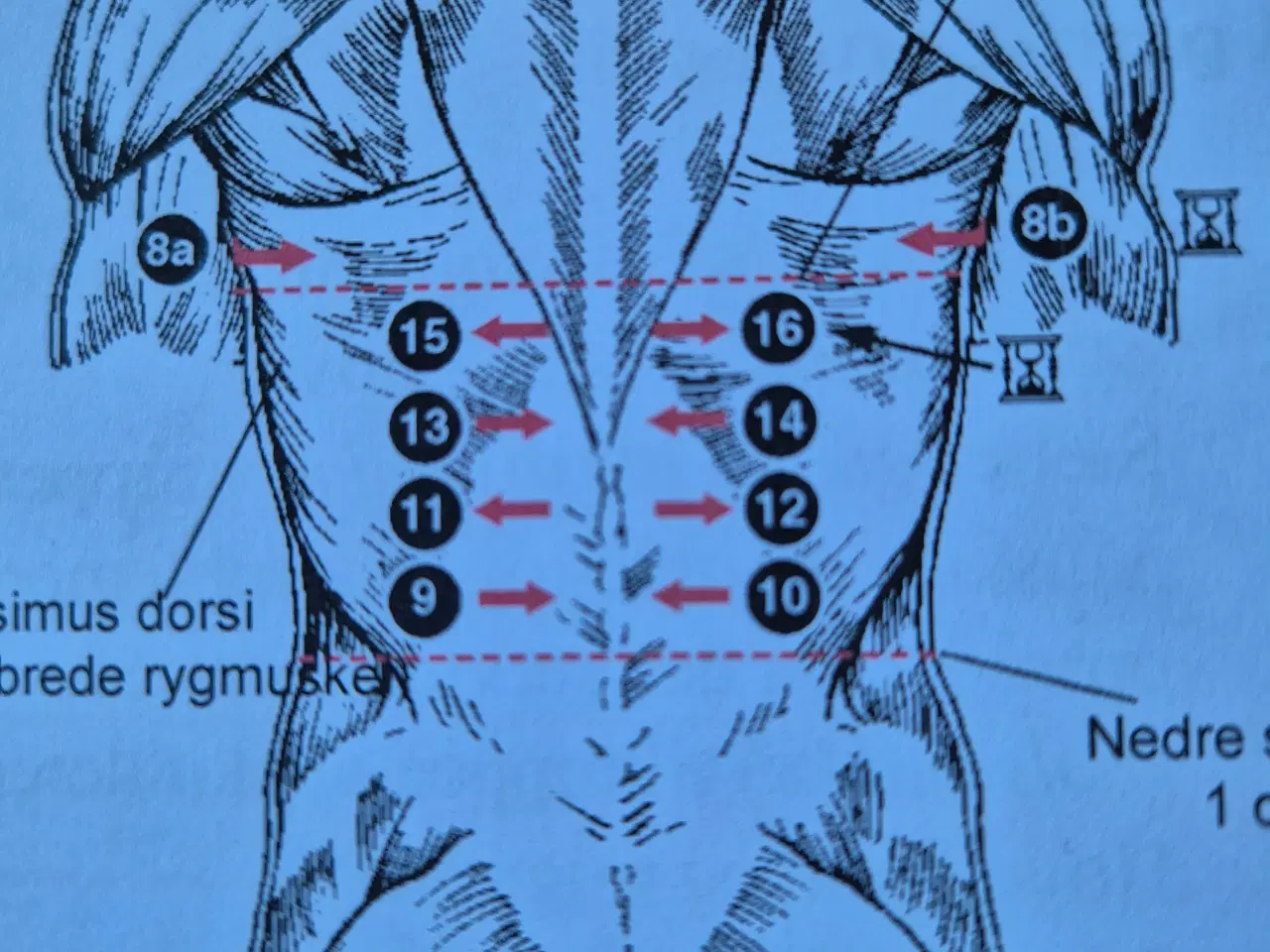 Billede 5 - Bowen Therapy