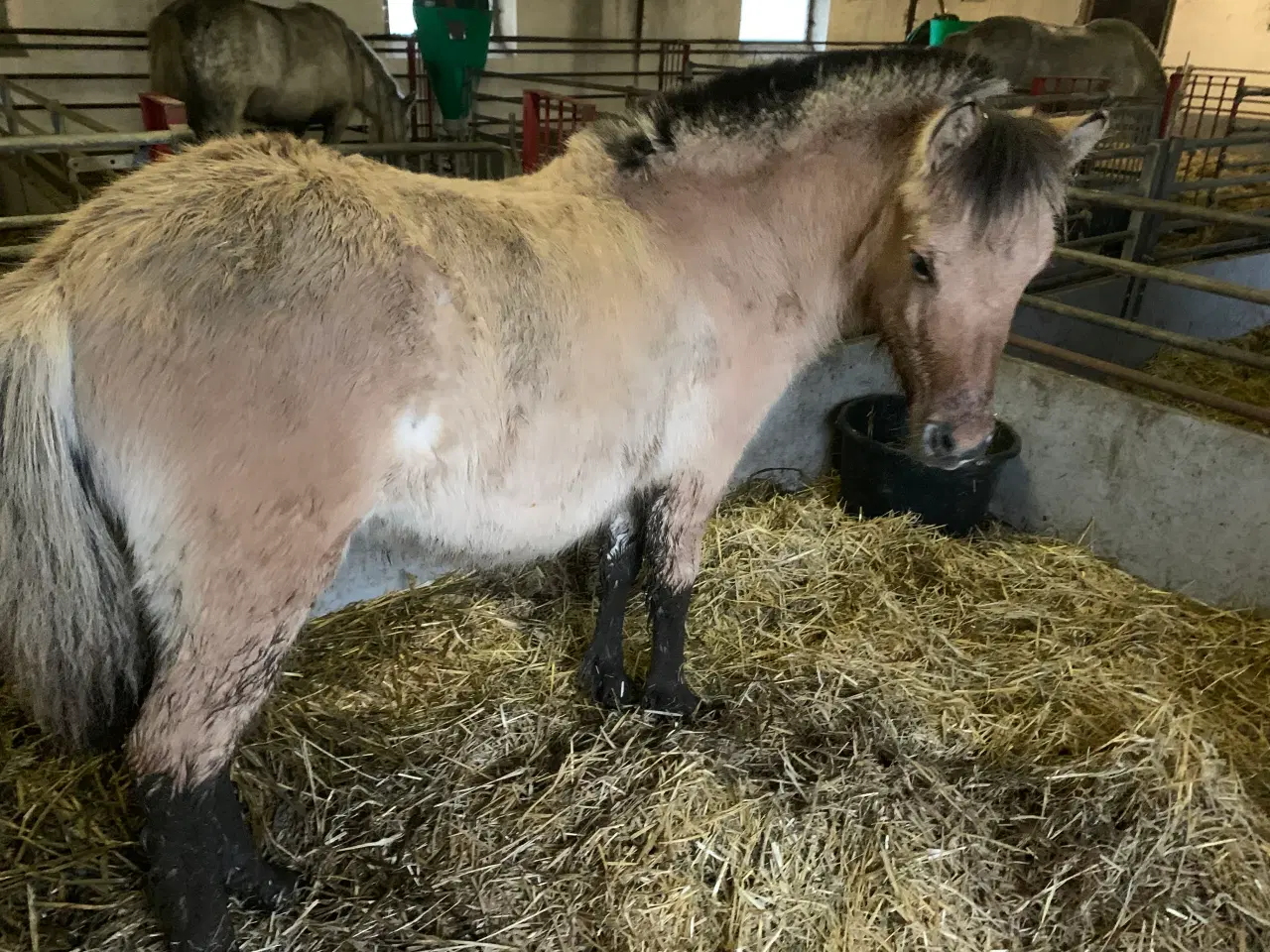 Billede 2 - Evt bytte