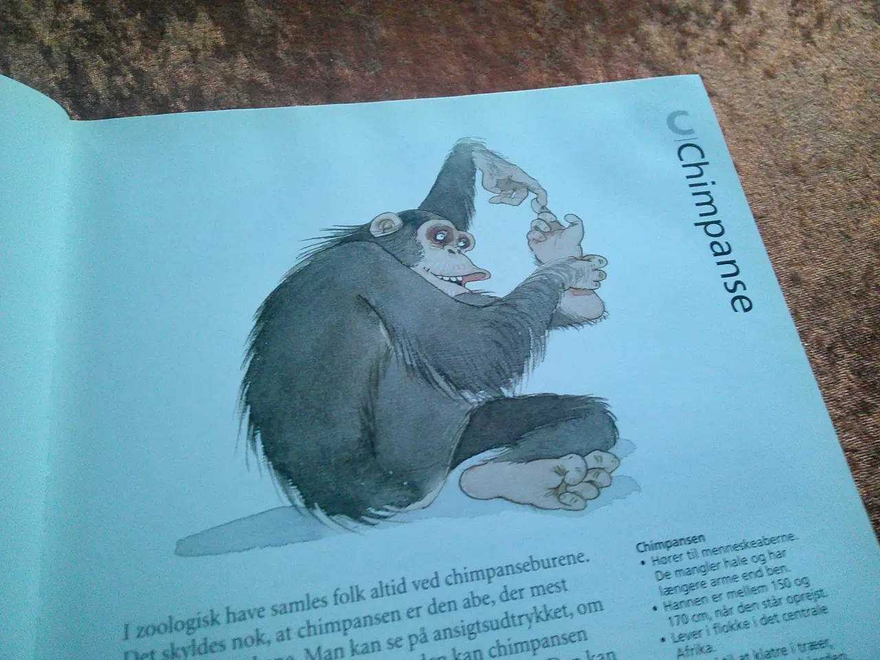 Billede 2 - Børnenes dyrebog A-Å, Stig Erberth m.fl.