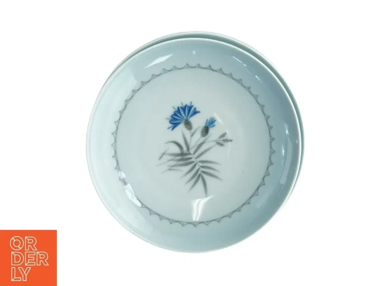 Billede 1 - Porcelænstallerkener med blomstermotiv, Blå kornblomst, Demeter fra Bing Og Grøndahl (str. Diameter 15,5 cm)