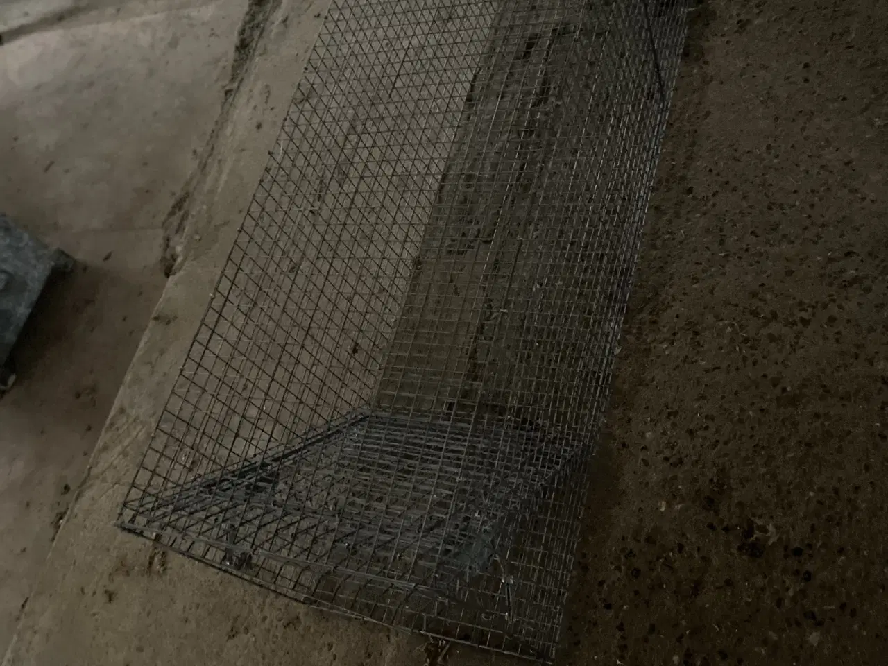 Billede 1 - Rævefælde