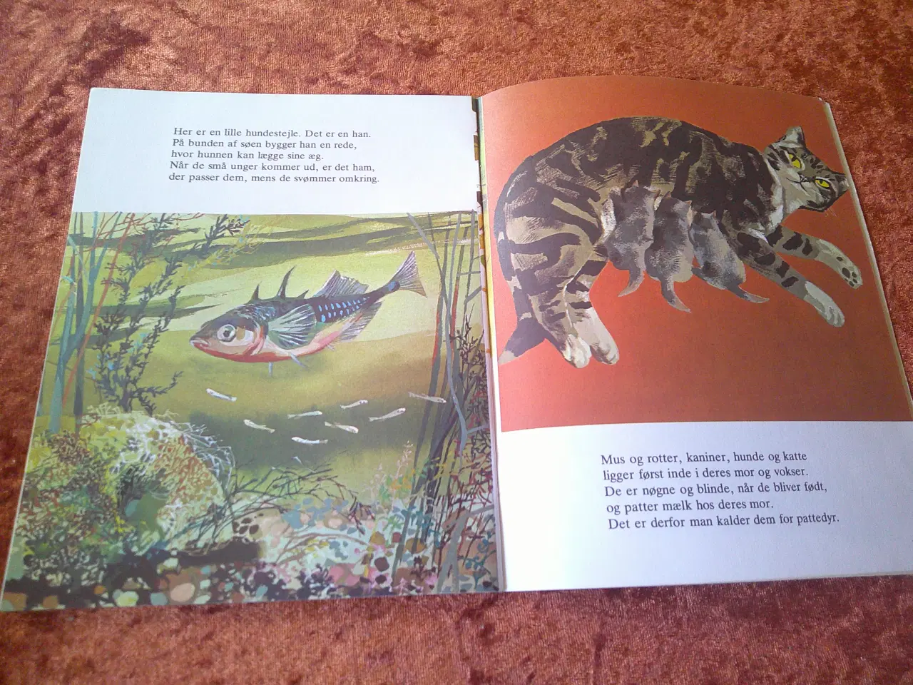 Billede 5 - Dyrenes børn, J.D. Bevington