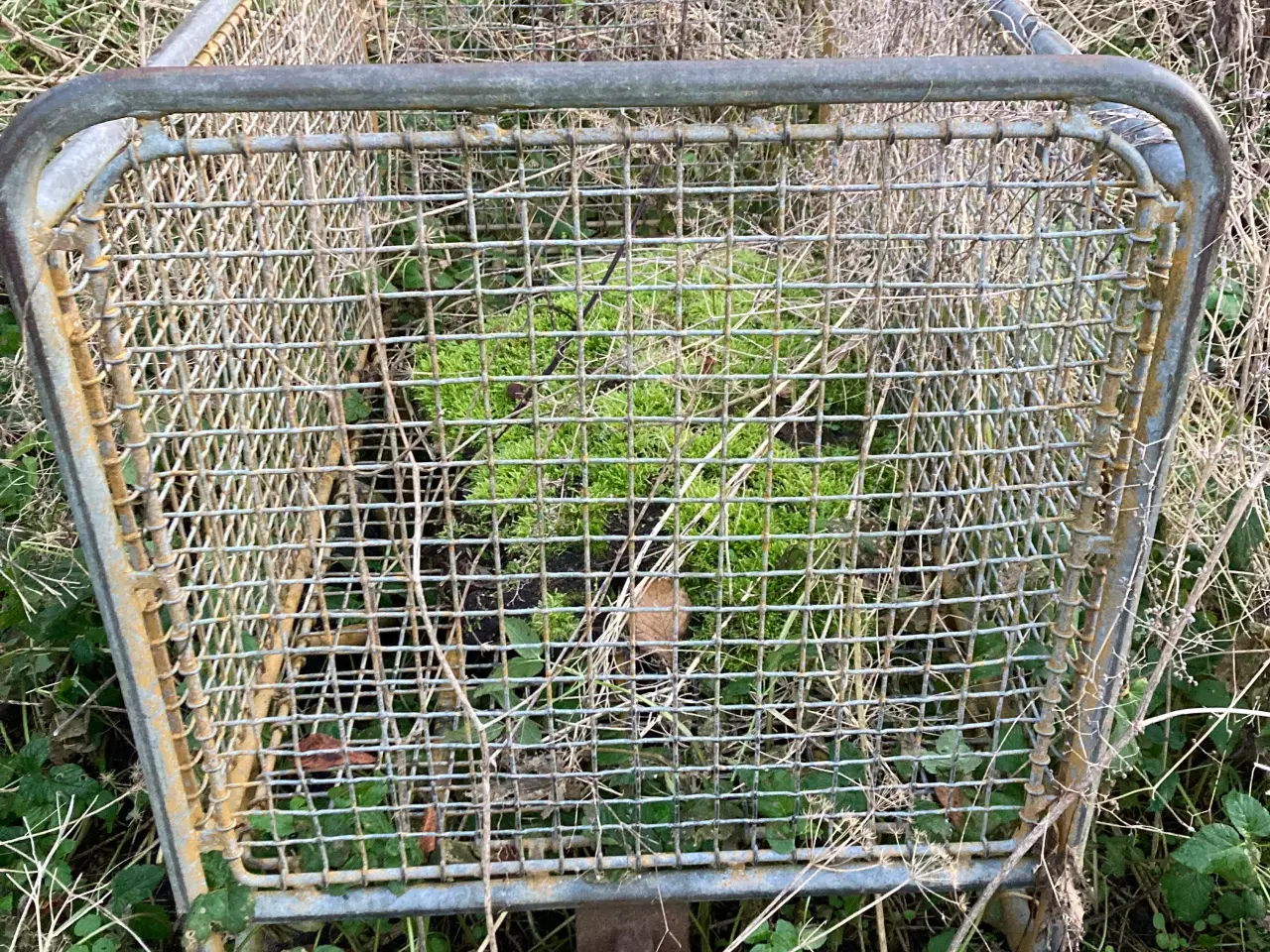 Billede 1 - Høvogn og badekar bortgives