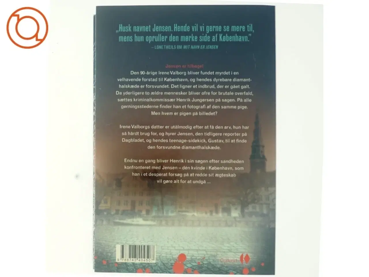 Billede 3 - Pigen på billedet af Heidi Amsinck (Bog)