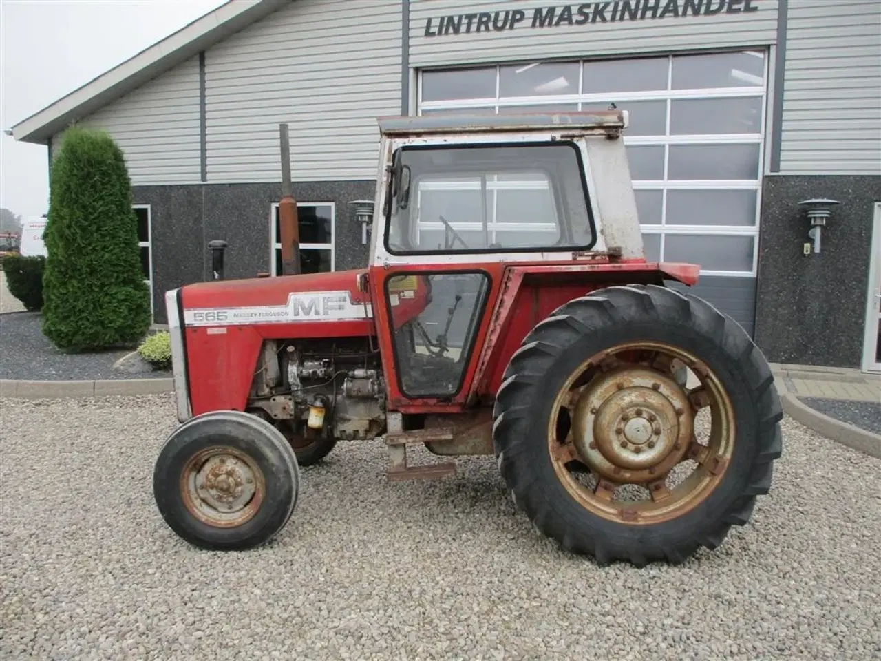 Billede 2 - Massey Ferguson 565 Med orginal registringsattest til og srvostyrring