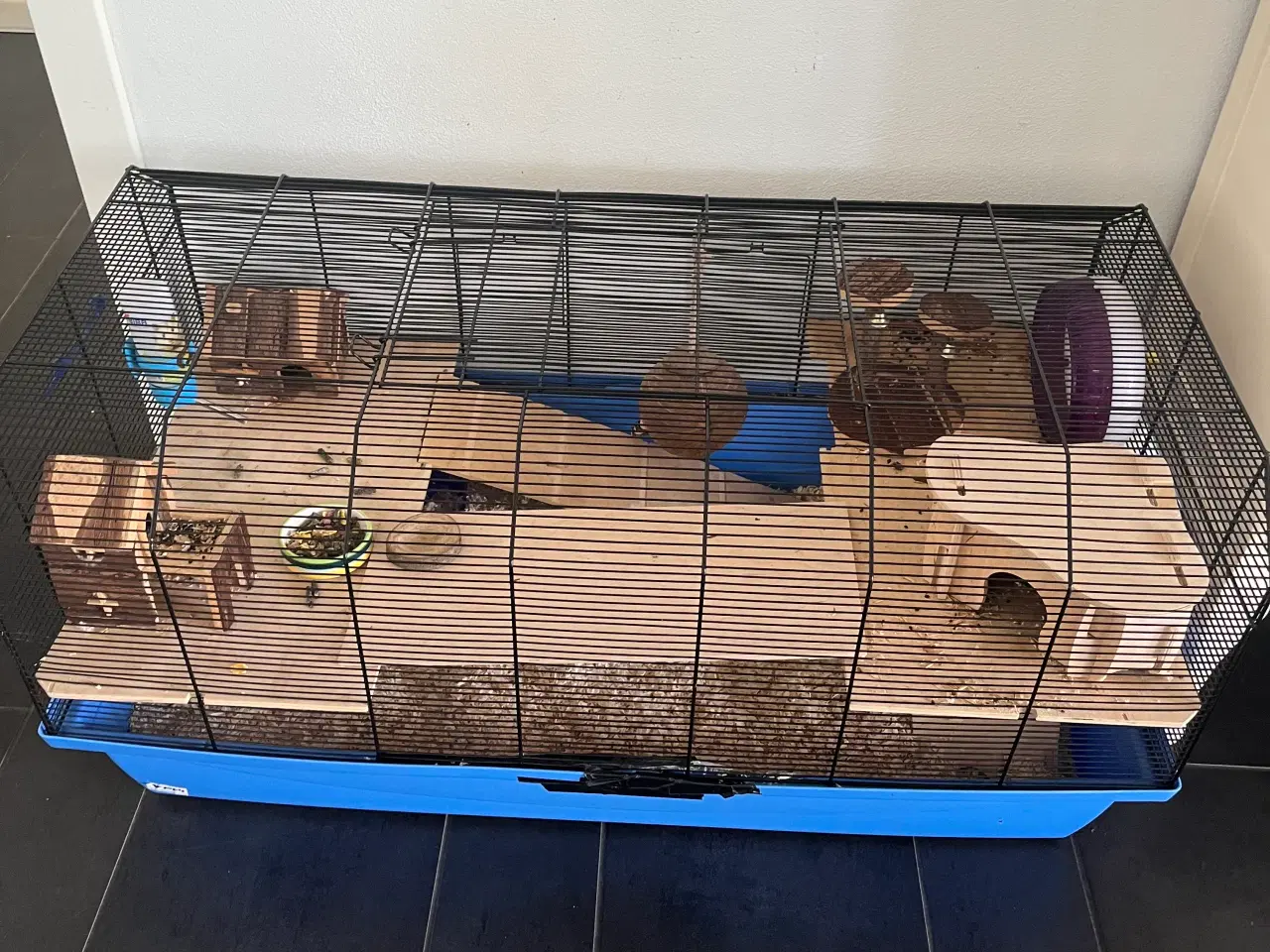 Billede 2 - Hamster