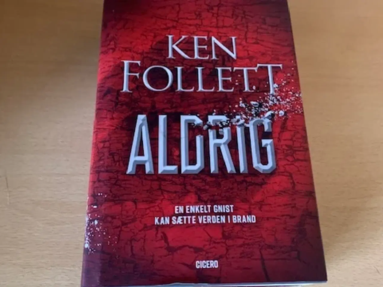 Billede 1 - Ken Follett - ALDRIG