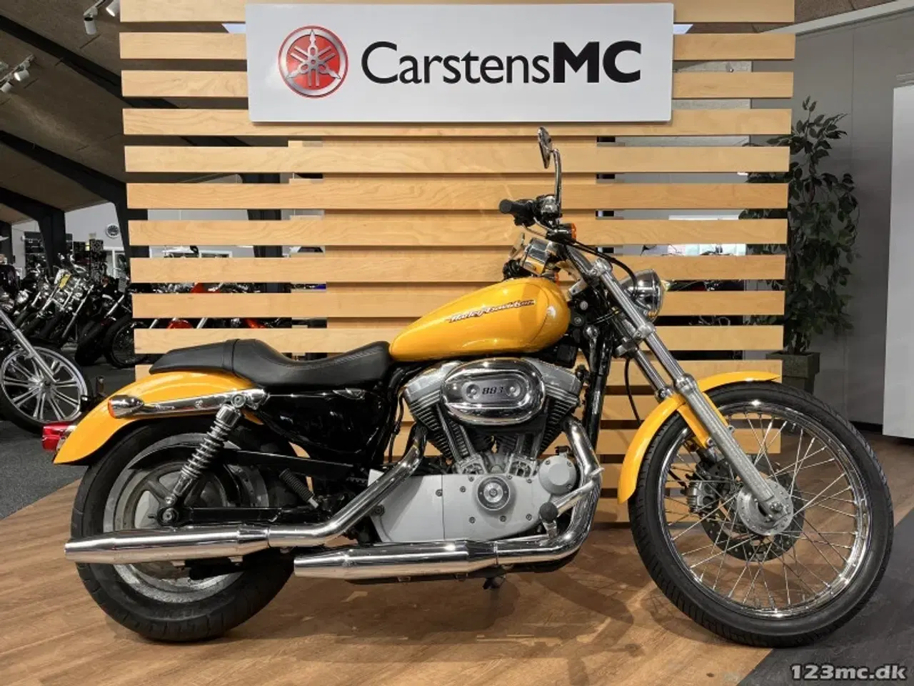 Billede 1 - Harley-Davidson XL883C Sportster Custom