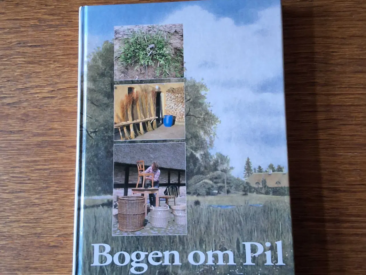 Billede 1 - Bogen om PIL,  af Carl Jensen 