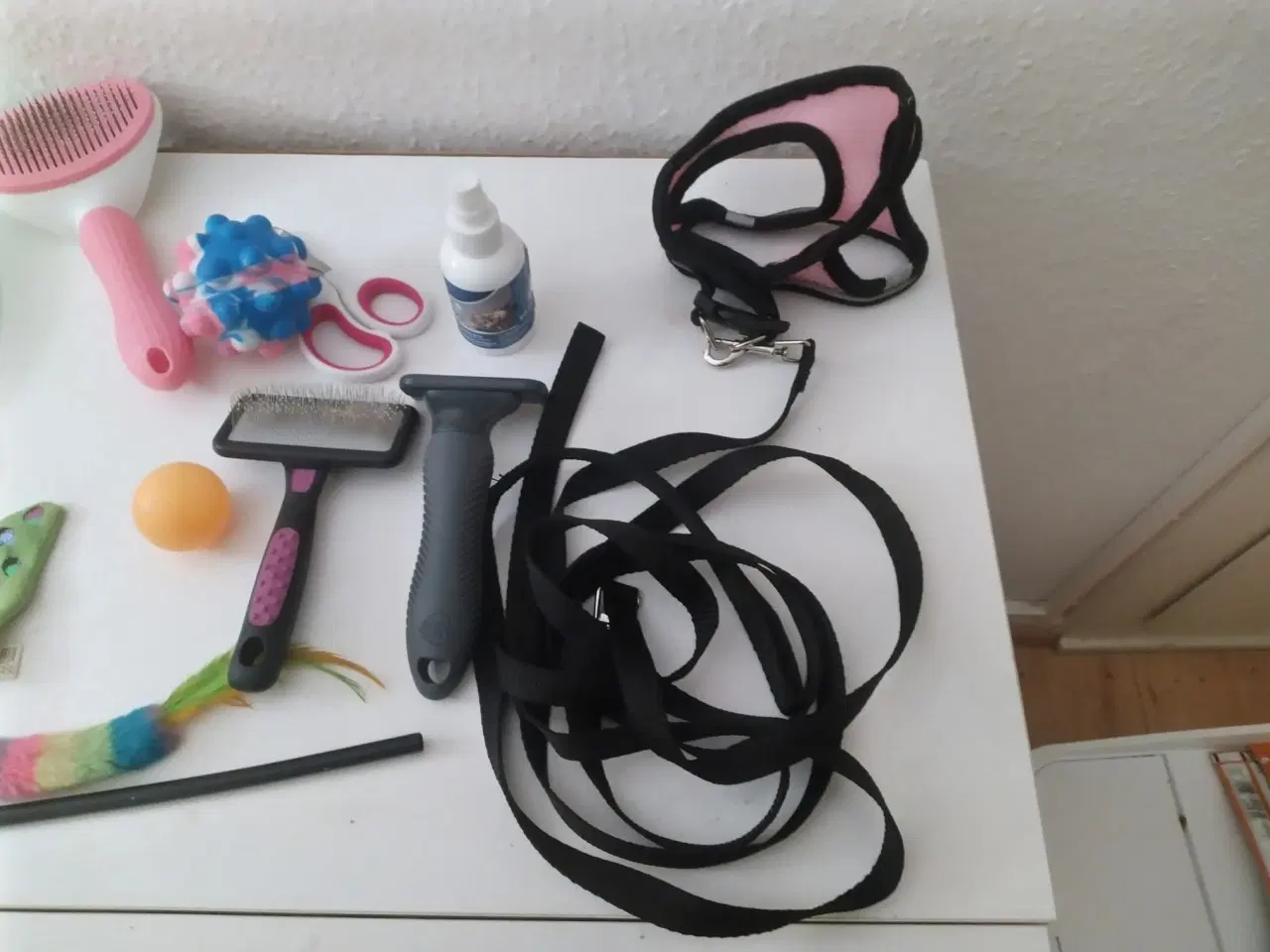 Billede 18 - Hund kat med tilbehør