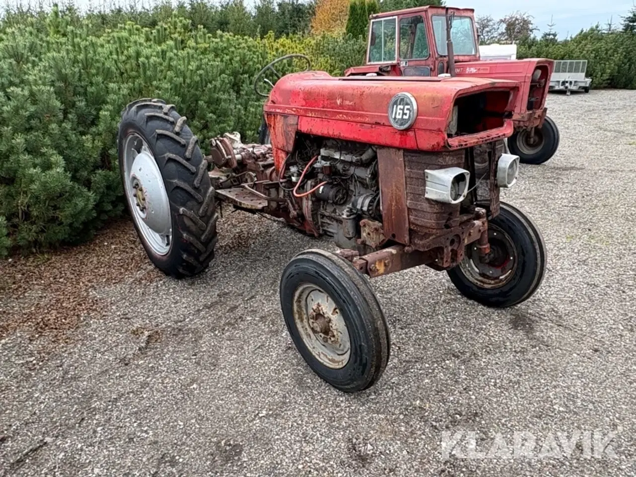Billede 5 - Traktor Massey Ferguson 165