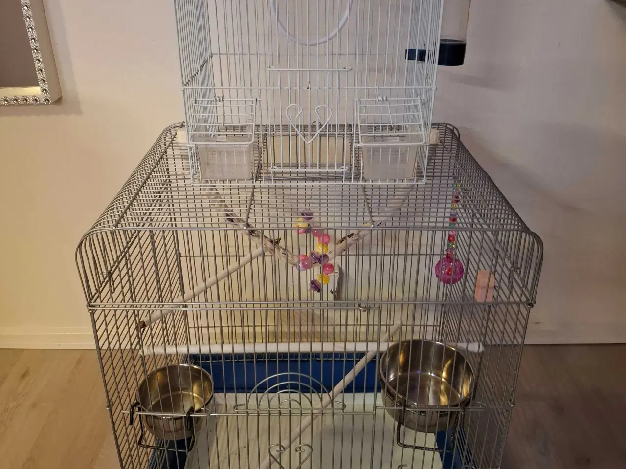 Billede 1 - Fuglebur 2 i en