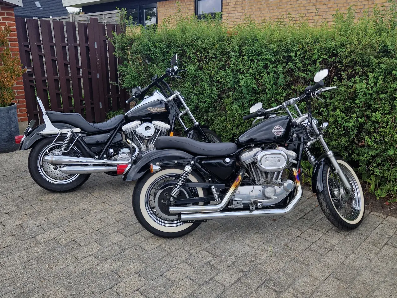 Billede 1 - FXR og Sportster 