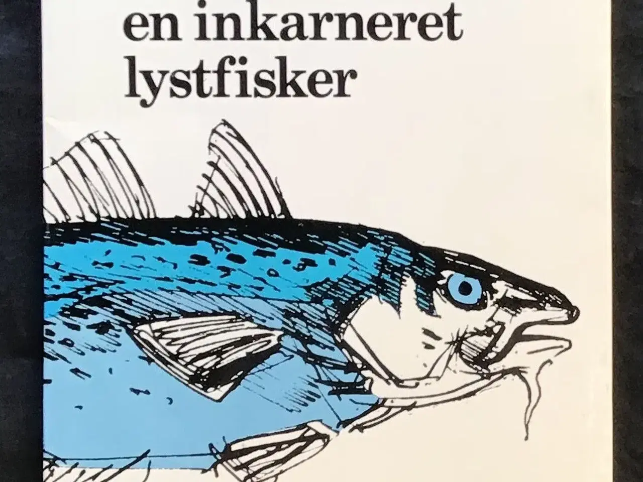 Billede 1 - Jeg kender en skæg pige,som er gift med en lystfis